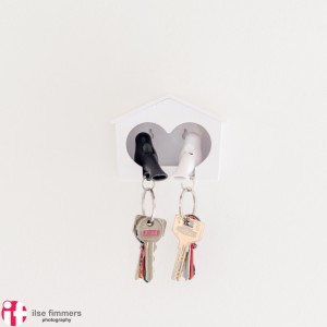 Love birds spare keys    