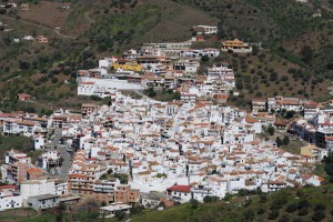 View of the town 